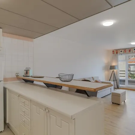 Avenida Arriaga 405 アパート *